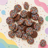 Milk chocolate nonpareils topped with rainbow seeds
