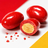 Boston Baked Beans 24 ct.