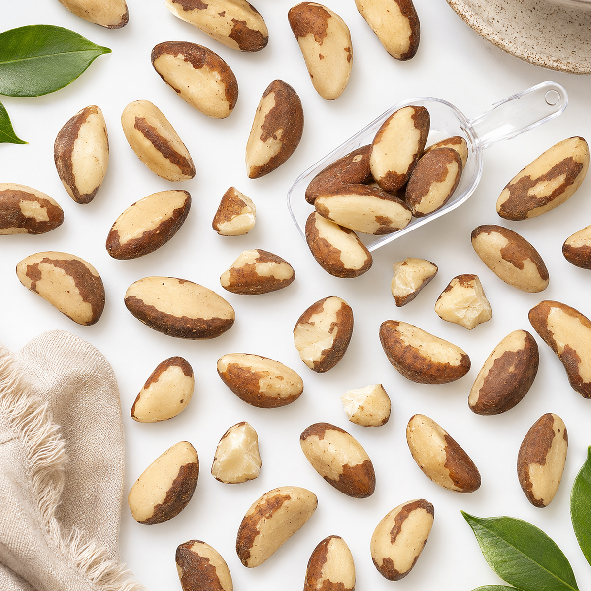 Brazil Nuts – Whole Premium Nuts